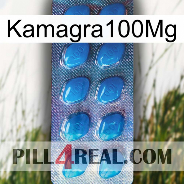 Kamagra100Mg viagra1.jpg